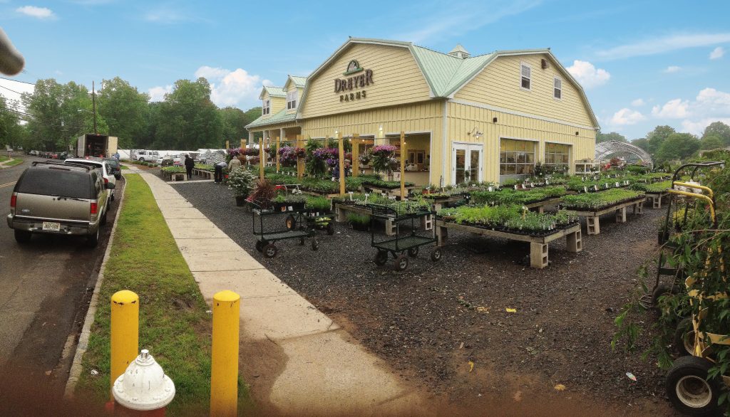 Dreyer Farms gallery photo 5